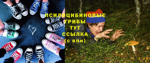 индика Верея