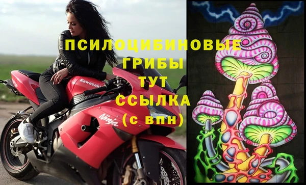 mdpv Волоколамск