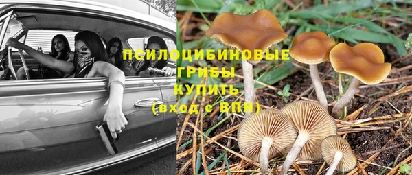 трава Володарск