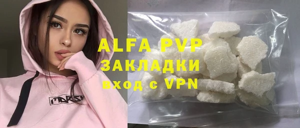 индика Верея