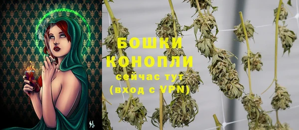 индика Верея